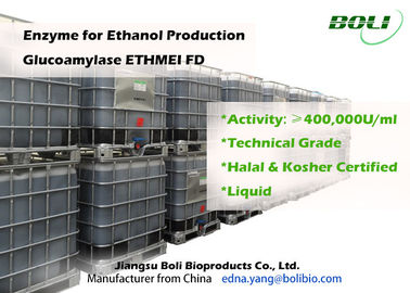 Alta glucoamilasa ETHMEI FD de la actividad enzimática para la producción del etanol