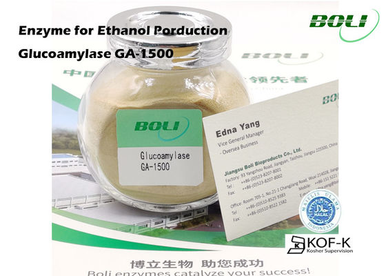Pulverice la enzima GA-1500 150000 U/G de la glucoamilasa