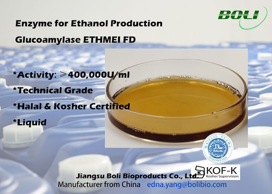 Alta enzima ETHMEI FD de la glucoamilasa de la actividad para la producción del etanol