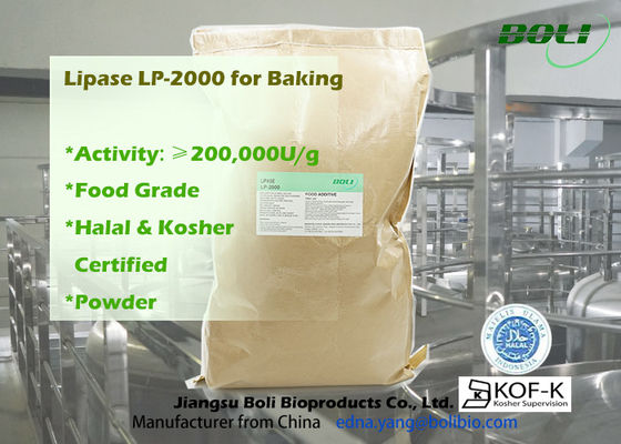 200000u/G pulverizan la alta enzima eficiente de la lipasa Lp-2000 para la utilización alimenticia de la panadería
