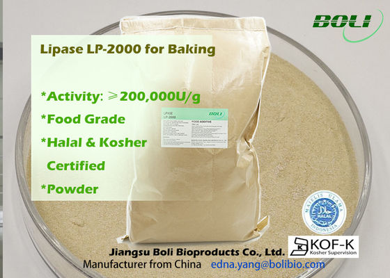 200000u/G pulverizan la alta enzima eficiente de la lipasa Lp-2000 para la utilización alimenticia de la panadería