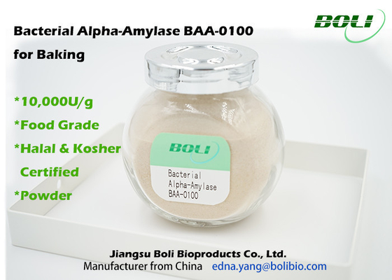 No GMO Alpha Amylase bacteriana BAA-0100 para el polvo de la panadería