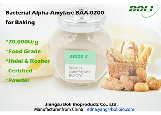 Alpha Amylase bacteriana BAA-0200 para cocer 20000U/G en comida