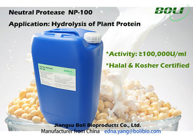 Proteasa neutral para la hidrólisis de la fitoproteína, producción industrial de enzima de la proteasa