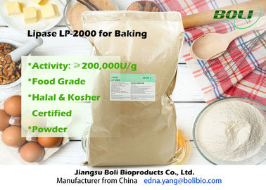 Enzima LP-2000 de la lipasa del polvo de la categoría alimenticia arriba eficiente para la panadería 200000 U/g