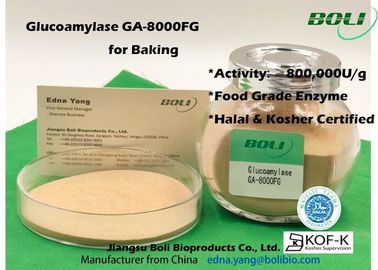 El alto concentró la enzima GA - 8000FG 800000U/G de la glucoamilasa del polvo para la comida Indusry