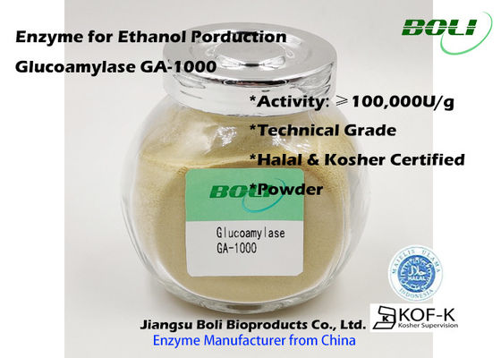 Polvo industrial de la enzima de la glucoamilasa GA-1000
