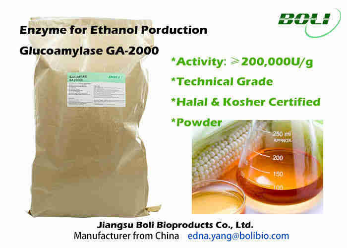 Enzima industrial GA - 2000 eficacias más rápidas de la glucoamilasa del polvo de la fermentación para el etanol